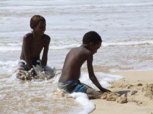 photo_album_2