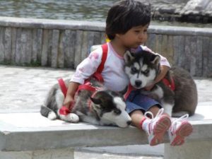 photo_album_7
