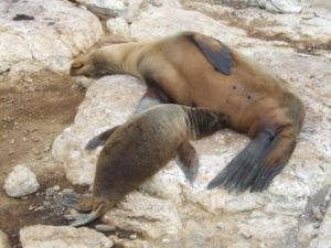 photo_album_11