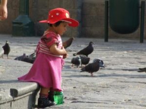 photo_album_17
